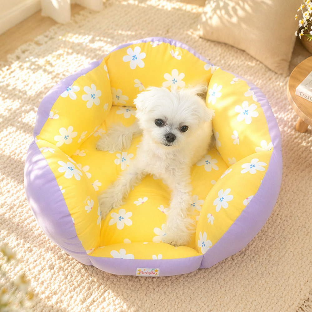 [패리스독] 플라워양면쿨베드