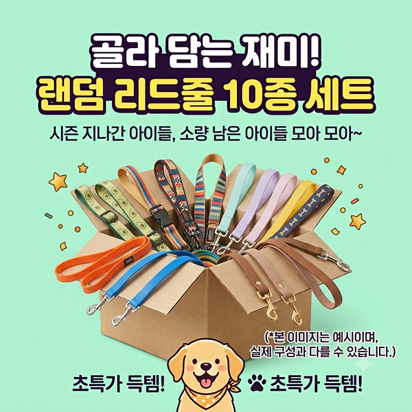 【매장】 랜덤 리드줄 10개세트