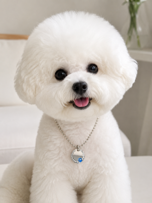 강아지 써지컬 목걸이(블루)