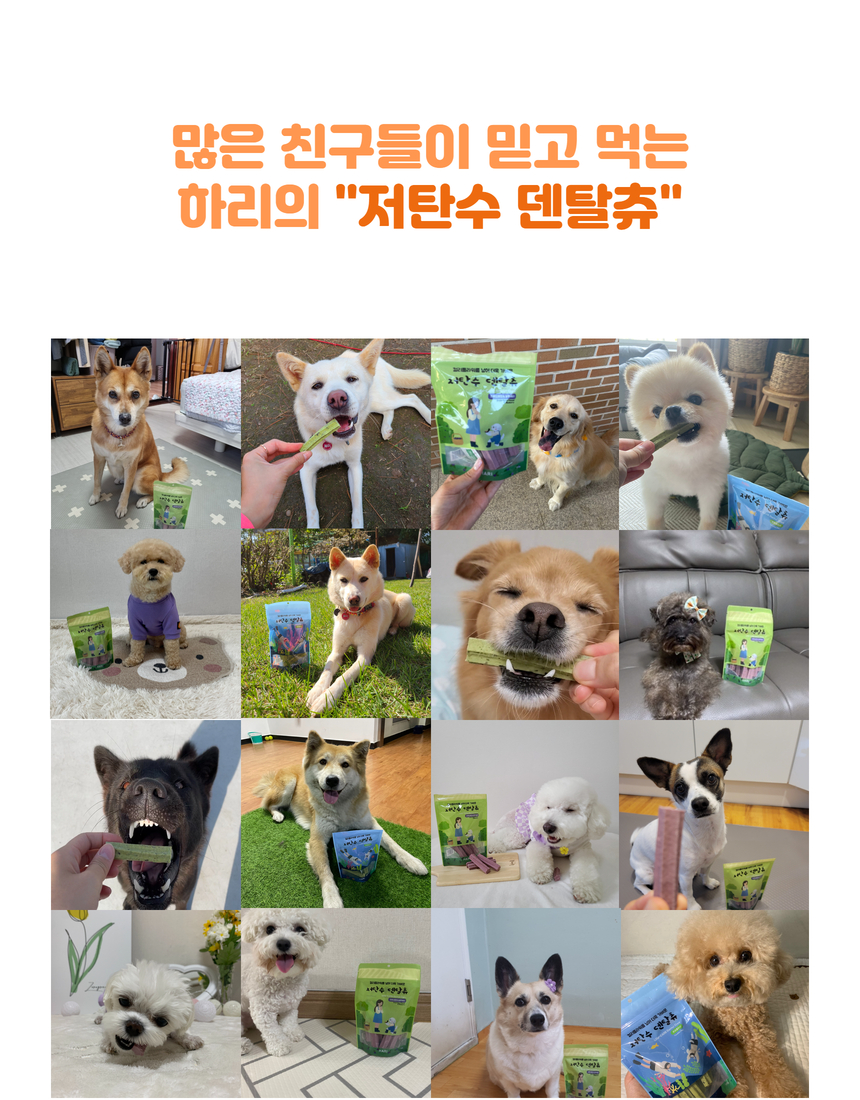상세이미지 #11