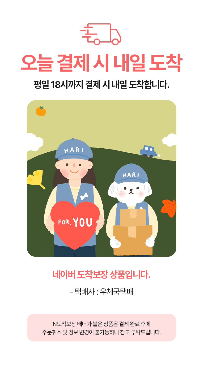 상세이미지 #2