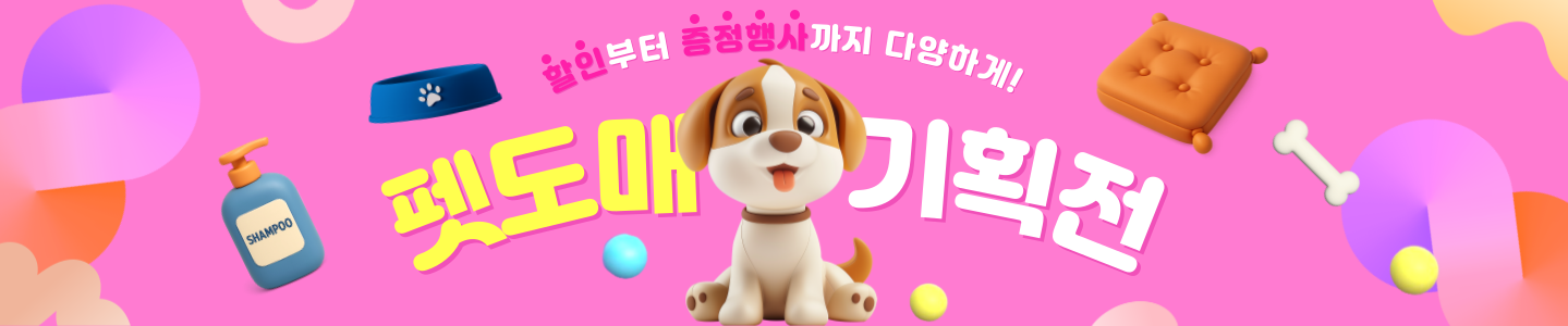 기획전